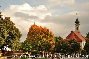 Mecsek Rallye 2015 Salánki Gábor_015
