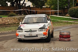 Mecsek Rallye 2015 Salánki Gábor_044