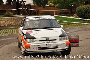 Mecsek Rallye 2015 Salánki Gábor_045
