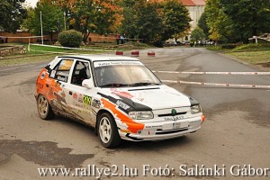 Mecsek Rallye 2015 Salánki Gábor_046