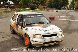 Mecsek Rallye 2015 Salánki Gábor_067