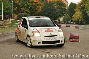 Mecsek Rallye 2015 Salánki Gábor_104