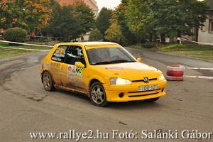 Mecsek Rallye 2015 Salánki Gábor_107