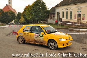 Mecsek Rallye 2015 Salánki Gábor_108